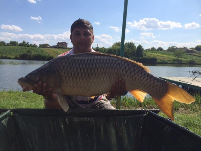 Moara Vlasiei 2 29 iunie 2014 - photo-1.JPG